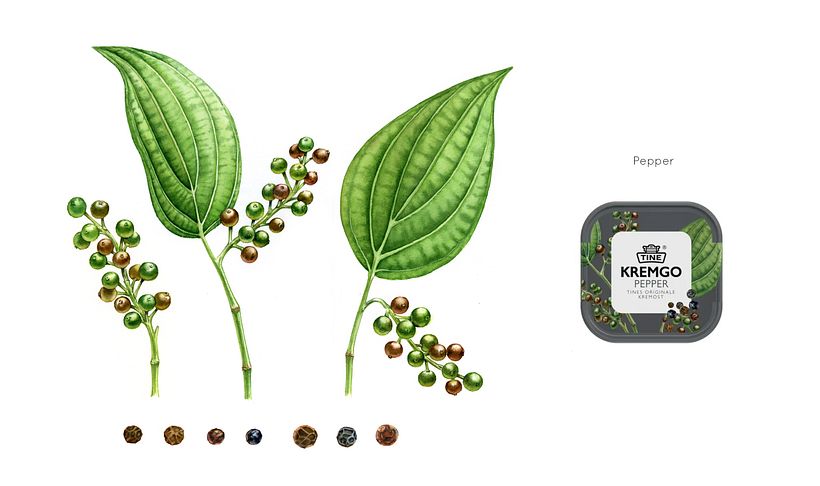  TINE KremGo. Watercolor illustrations for packaging 10