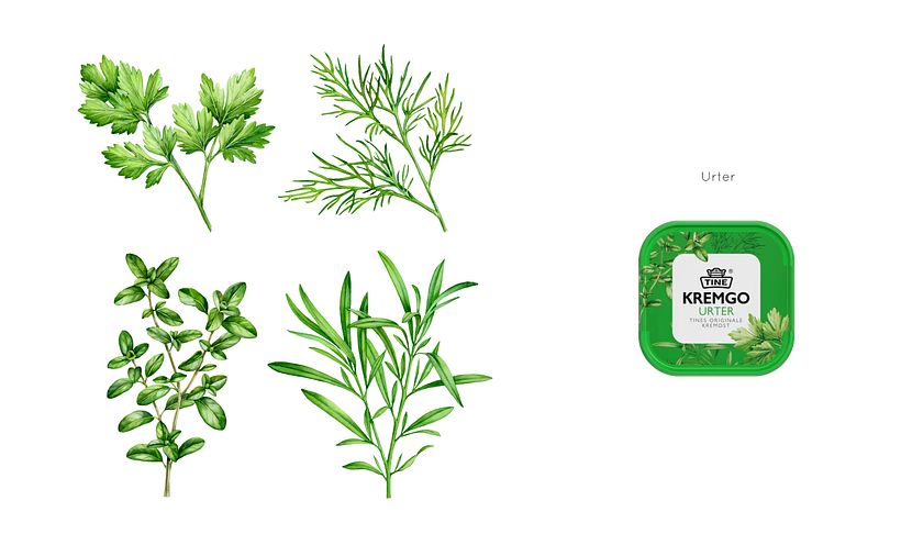  TINE KremGo. Watercolor illustrations for packaging 11