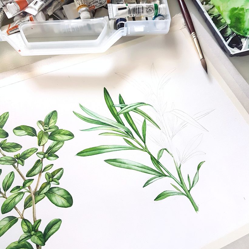  TINE KremGo. Watercolor illustrations for packaging 3