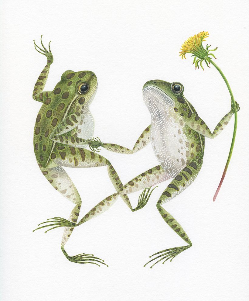 Dancing Frogs 