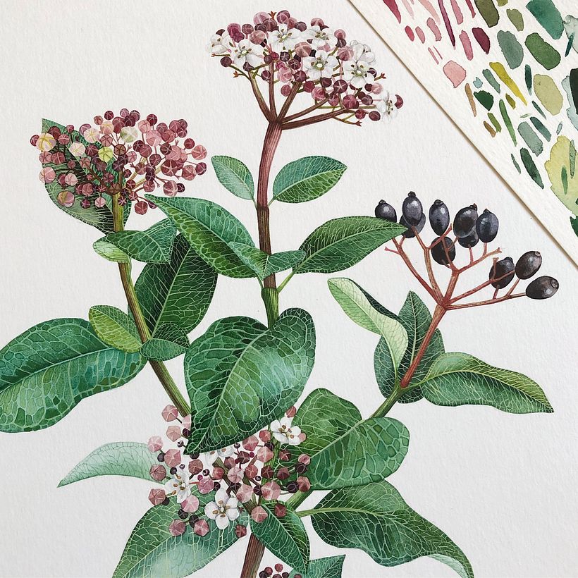 Close up, taken for Instagram 