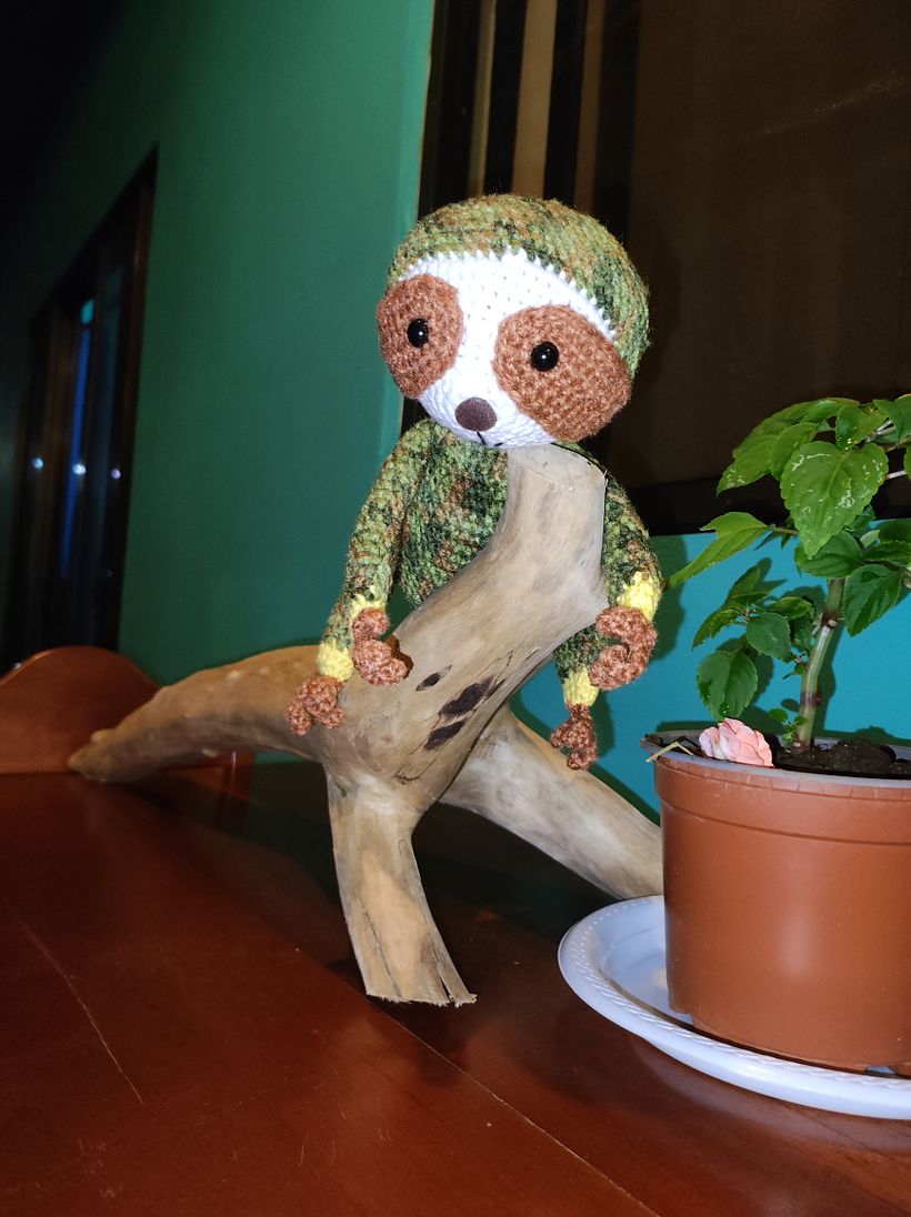 Oso Perezoso 6