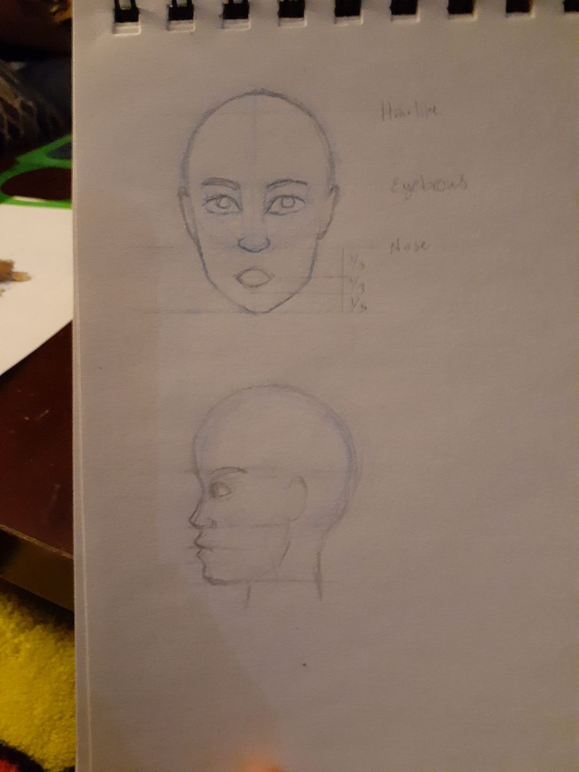 Proportions