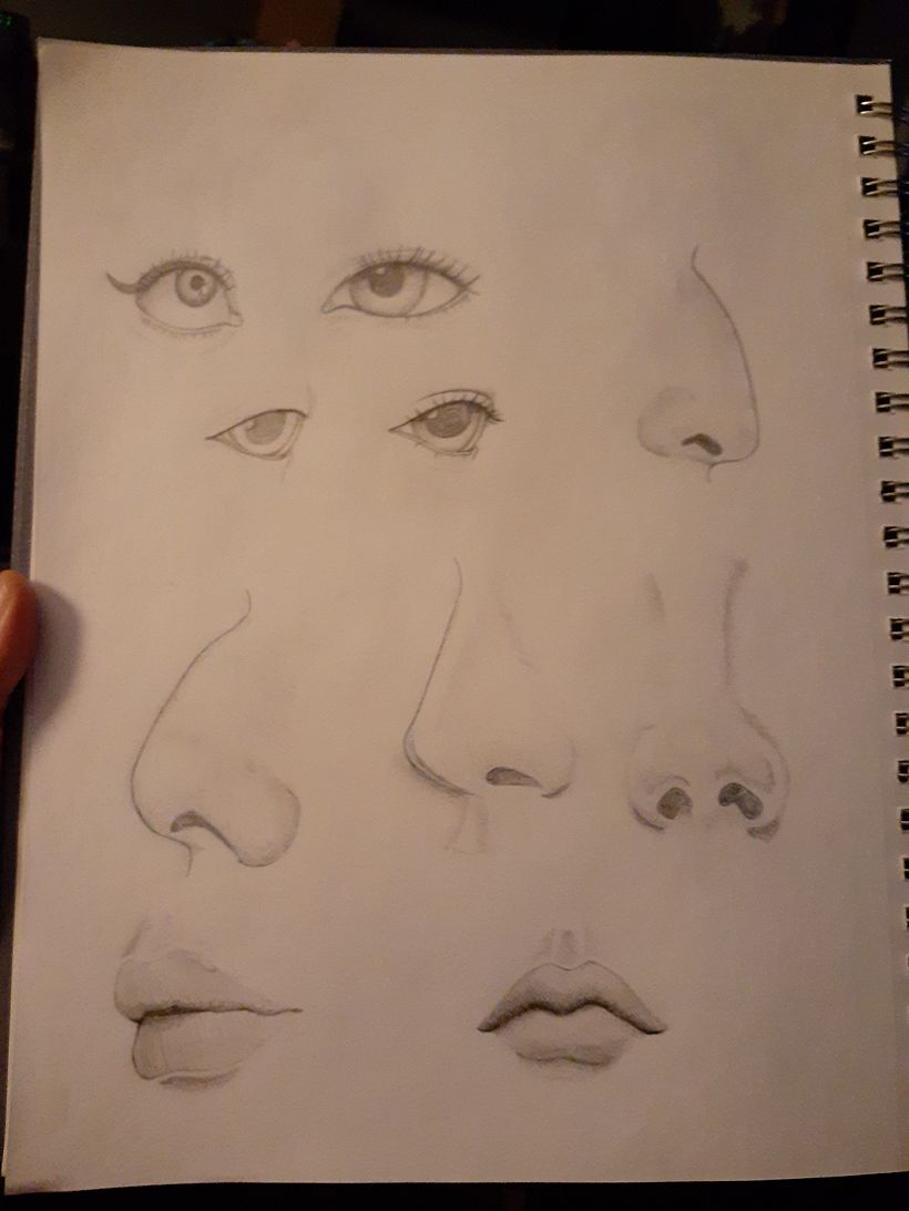 Feature Study