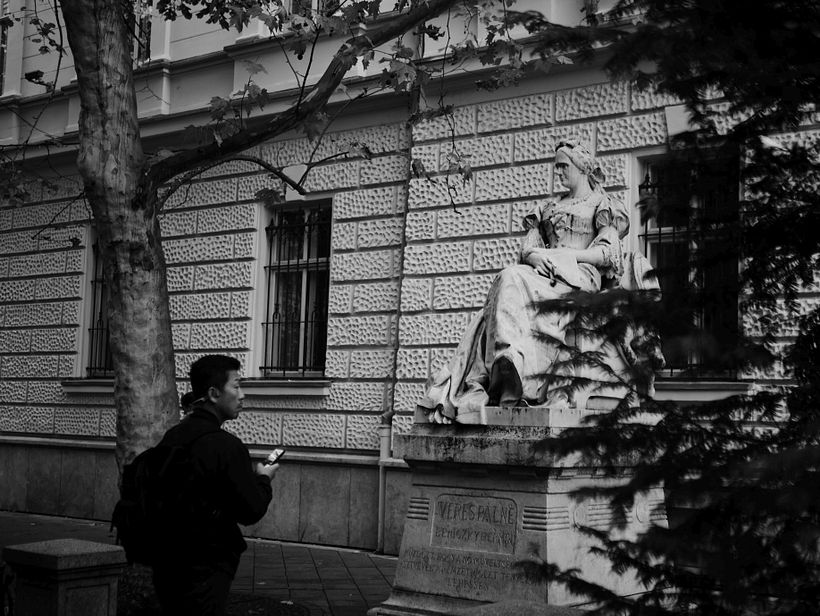 My project for course: Travellers in the streets of Budapest 4