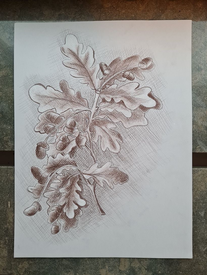 My project for course: Classical Portrait Drawing: The Renaissance Man’s Method 2