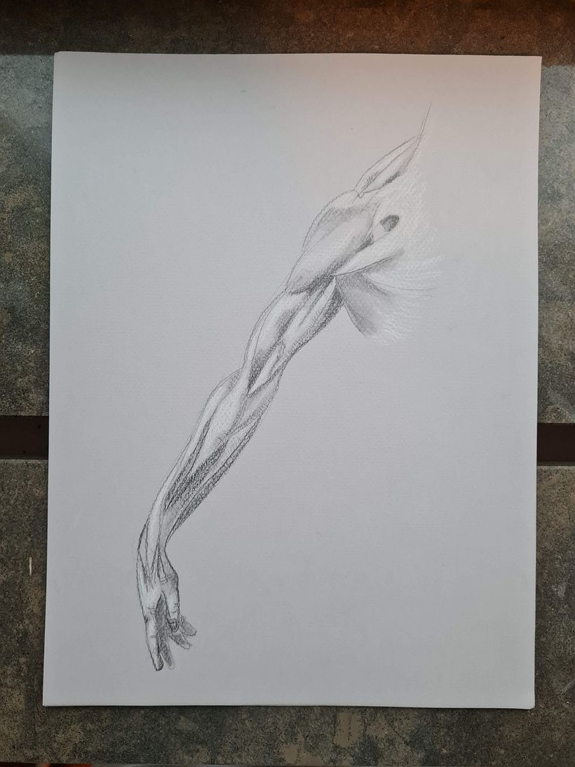My project for course: Classical Portrait Drawing: The Renaissance Man’s Method 3