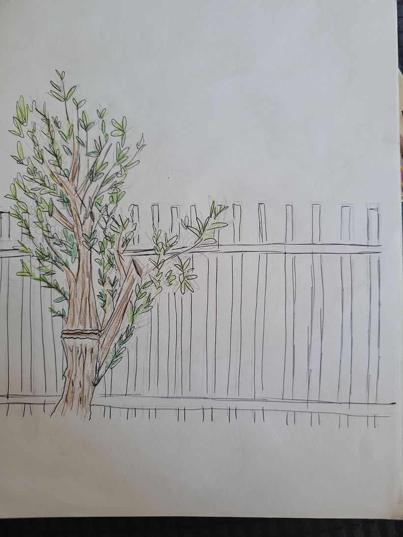 Dibujos//bosquejos  18