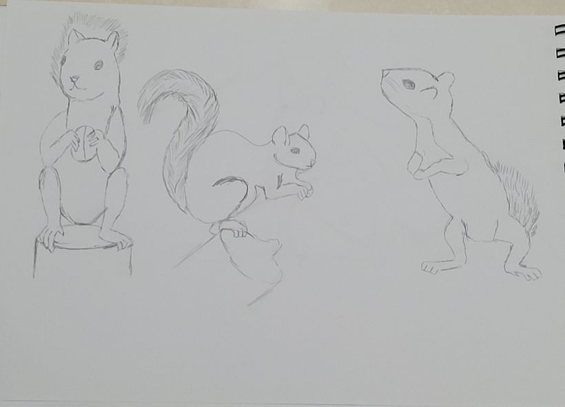 My project for course: Dynamic Animal Illustration for Children’s Stories 2