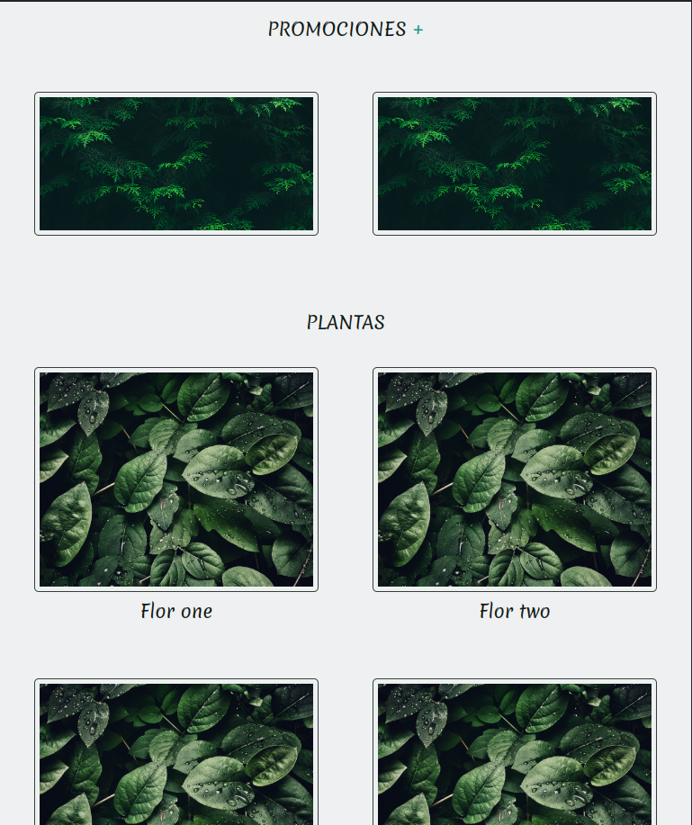 Mi proyecto del curso: Introducción al Desarrollo Web Responsive con HTML y CSS 6