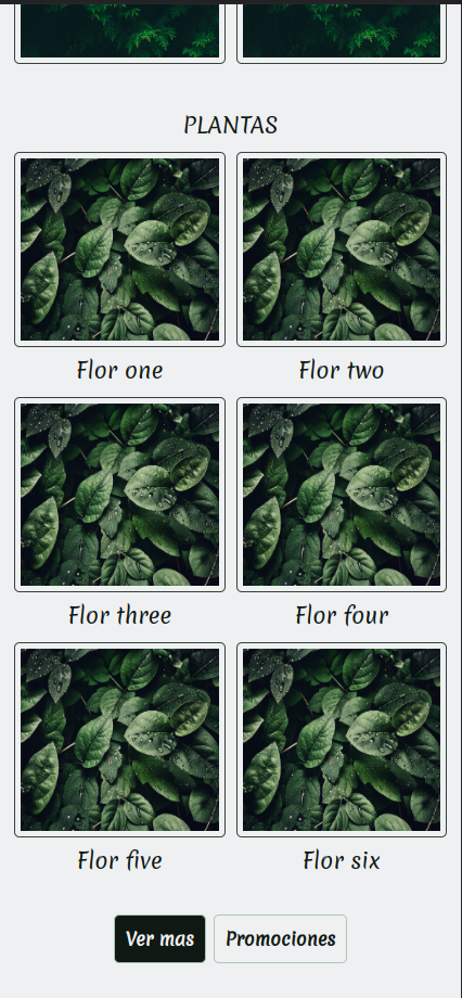 Mi proyecto del curso: Introducción al Desarrollo Web Responsive con HTML y CSS 9