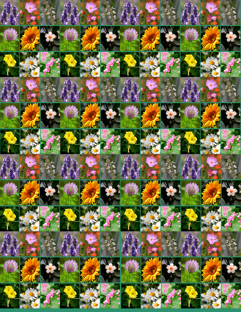 Meu projeto do curso: Técnicas para treinar sua criatividade 4