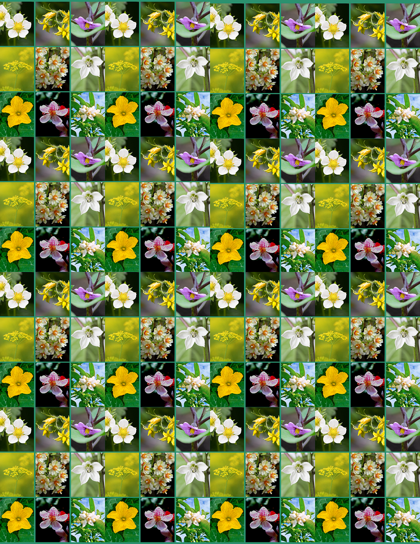 Meu projeto do curso: Técnicas para treinar sua criatividade 5