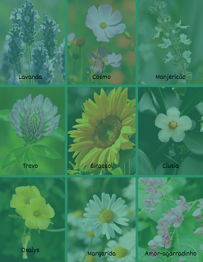 Meu projeto do curso: Técnicas para treinar sua criatividade 12