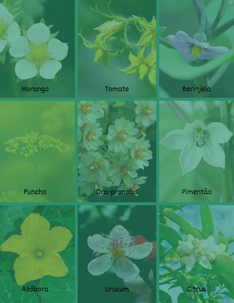 Meu projeto do curso: Técnicas para treinar sua criatividade 13