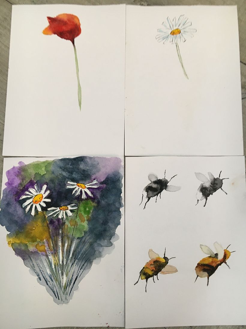 My project for course: Illustrating the Natural World with Watercolor and Charcoal 2