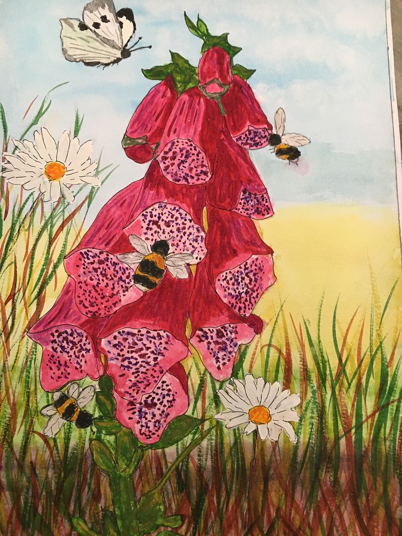 My project for course: Illustrating the Natural World with Watercolor and Charcoal 4