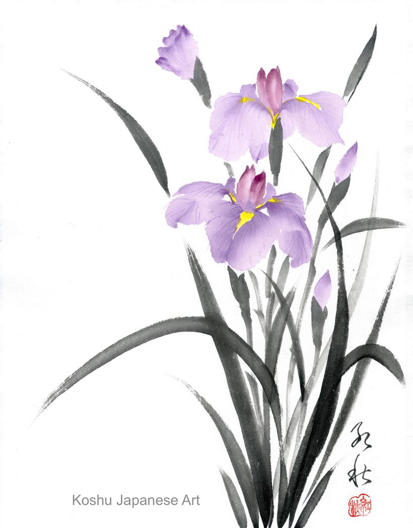 Iris in Tsuketate hou by Koshu