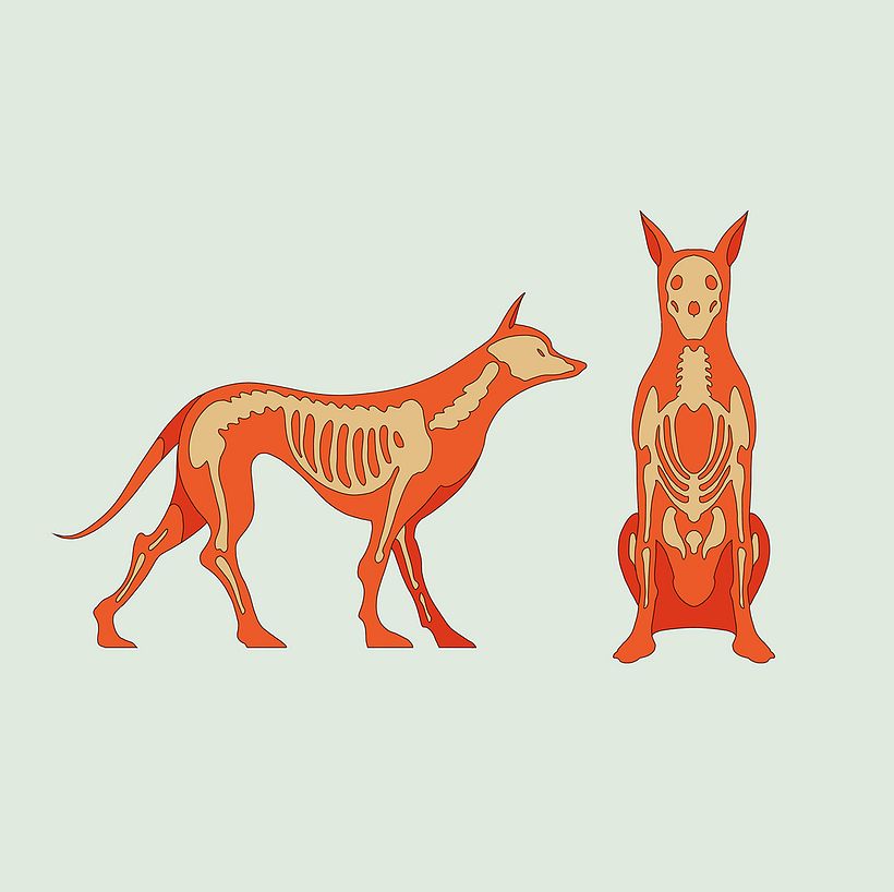 NIKE SIEMPRE FAMILIA  - Ilustración tradicional