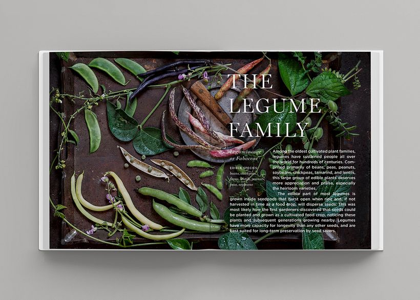 The New Heirloom Garden 10