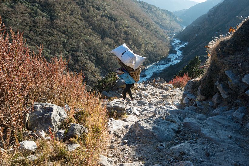 The work of the porters in the tracking of Everest camp, Nepal 2