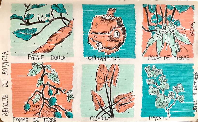 Mon projet du cours : Journal intime illustré : pratiquez au quotidien la pleine conscience 4