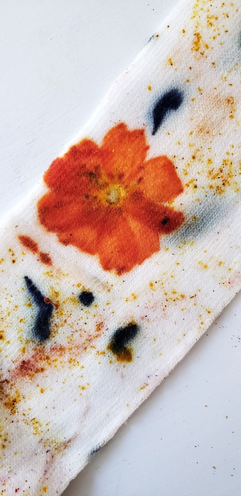 detail of cosmos on bamboo