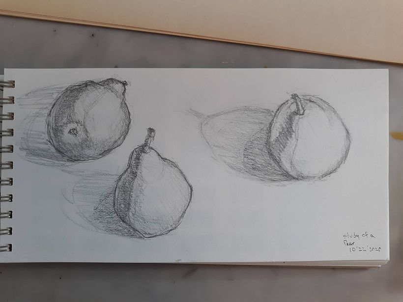 Bosc pears, graphite in sketchbook