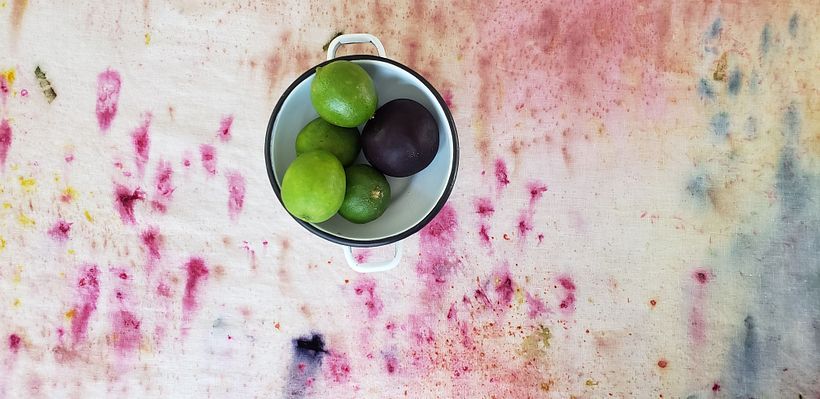 photo by Anna Herbst