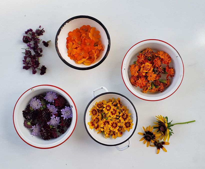 The World of Botanical Dyeing - Tejido