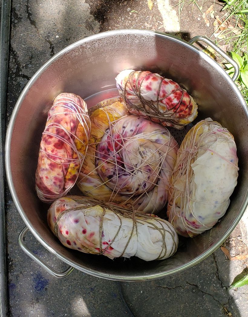 The World of Botanical Dyeing - Tejido