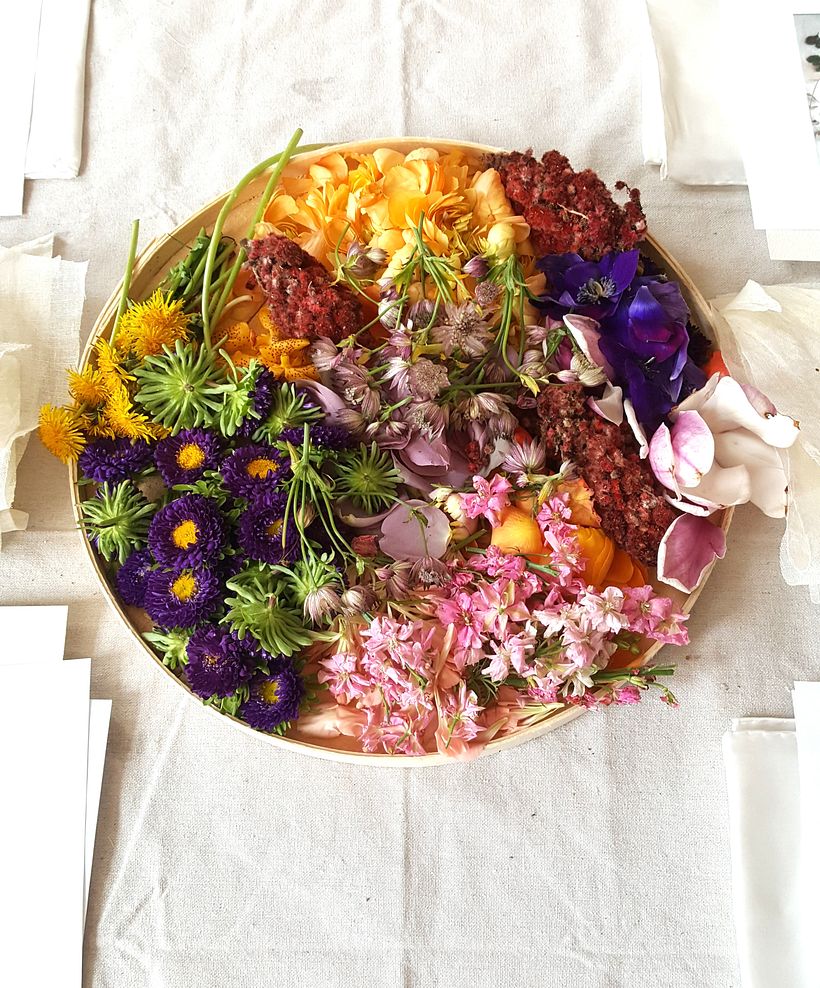 The World of Botanical Dyeing - Tejido
