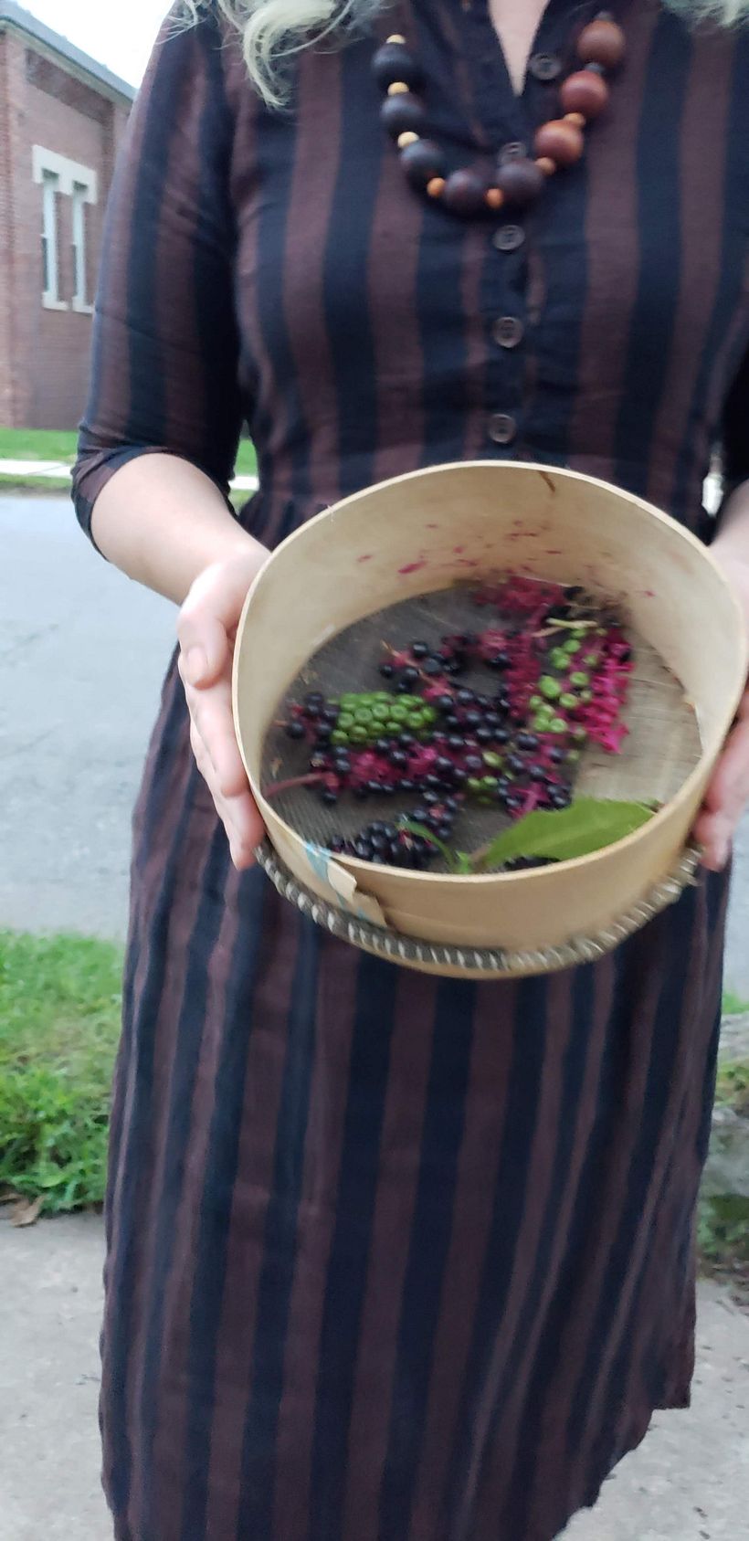 The World of Botanical Dyeing - Tejido