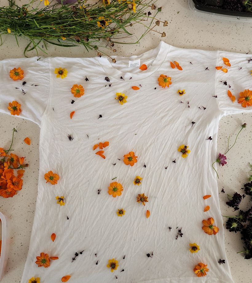 Plant and Flower Dyed Tee Shirts 1