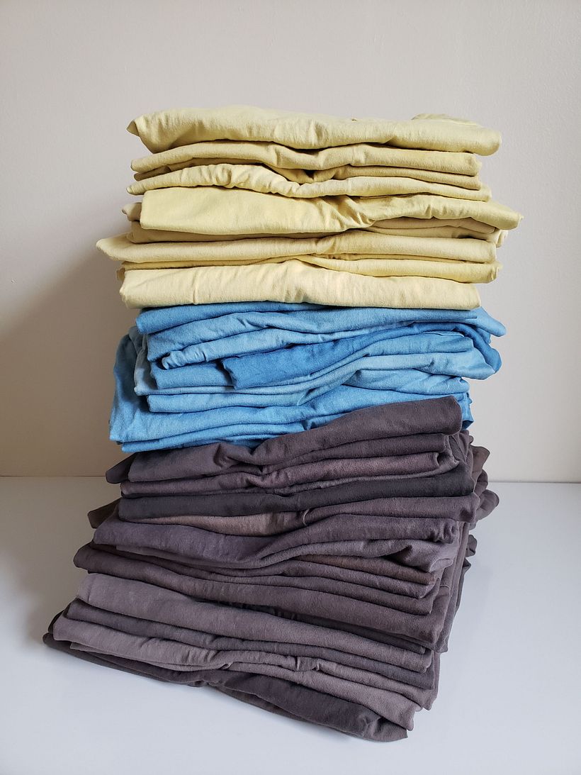 Plant and Flower Dyed Tee Shirts 5