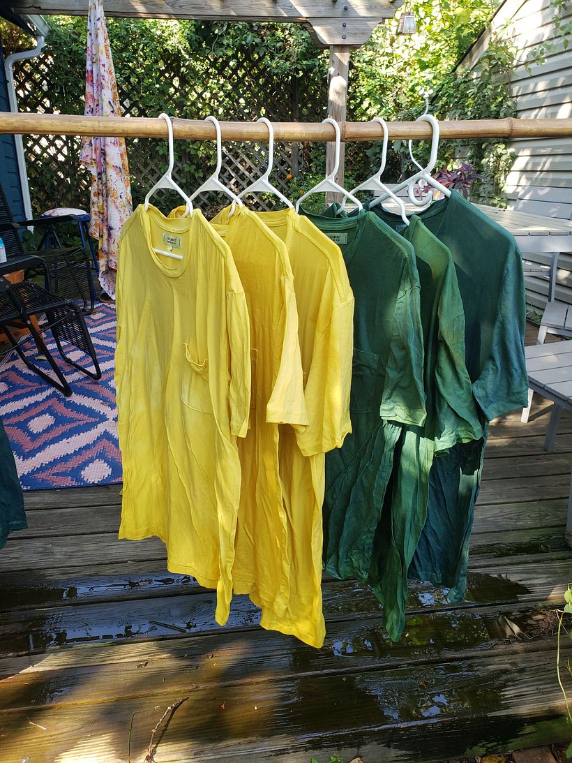 Plant and Flower Dyed Tee Shirts 9