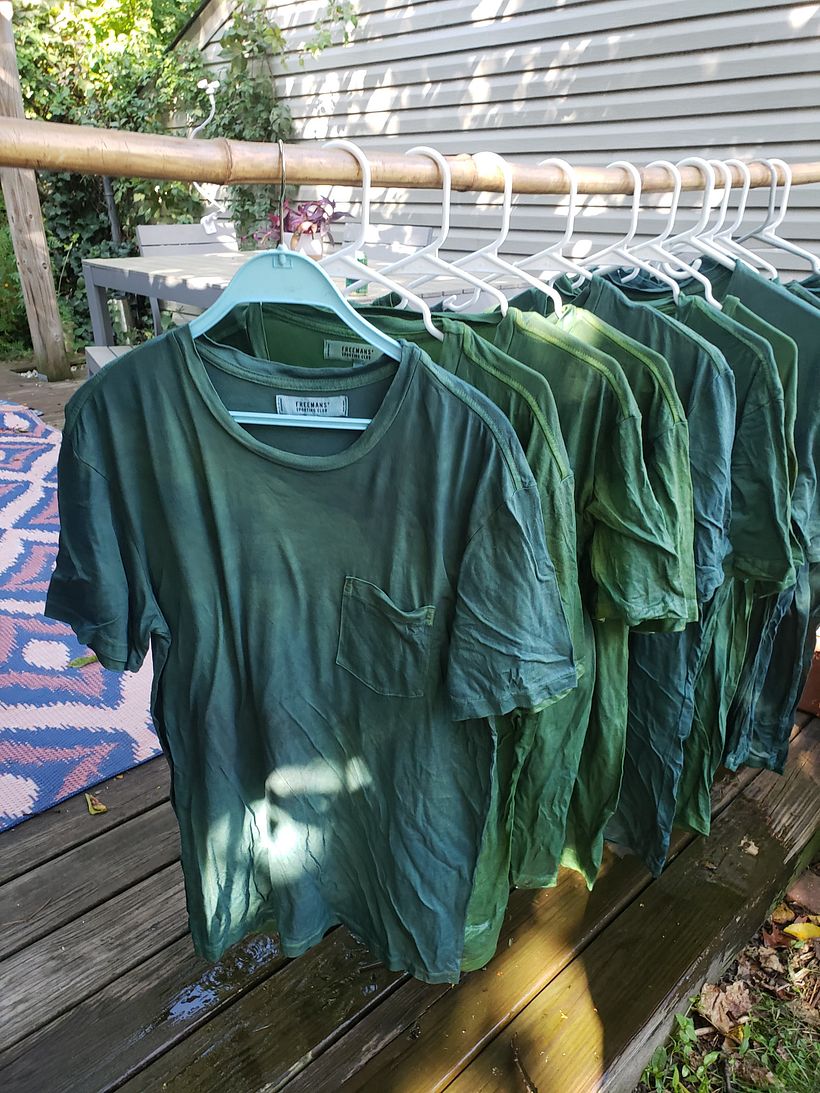 Plant and Flower Dyed Tee Shirts 10