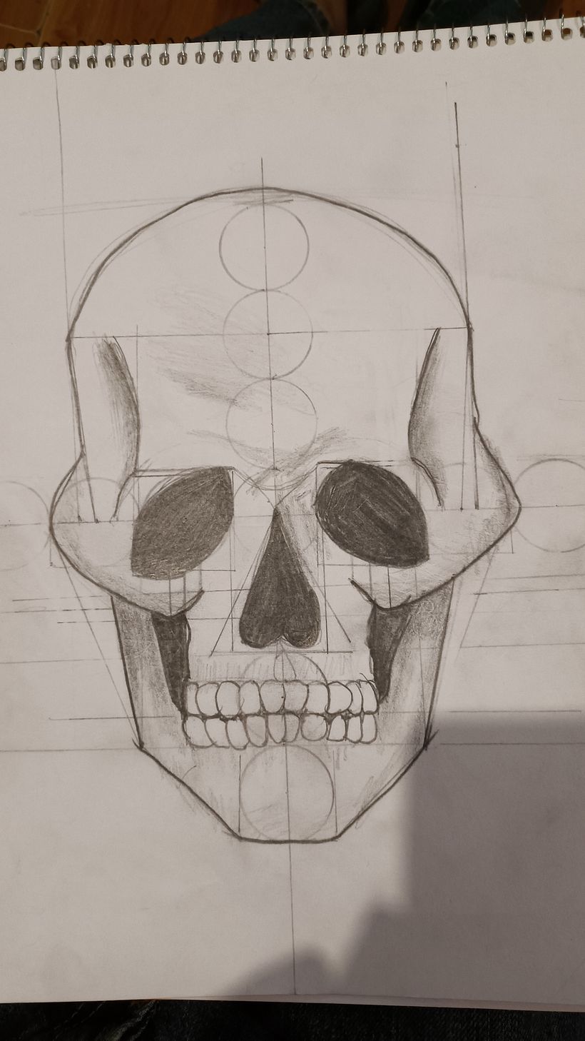 Mi proyecto del curso: Dibujo anatómico para principiantes 1