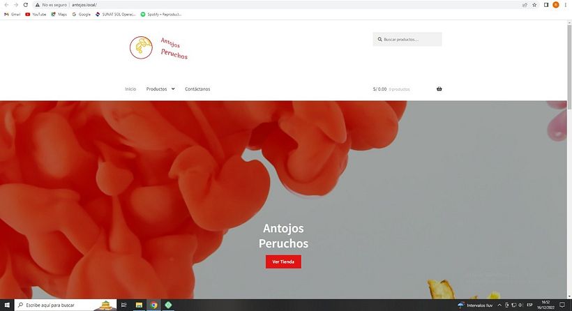 Mi proyecto del curso: Creación de una web profesional con WordPress 2