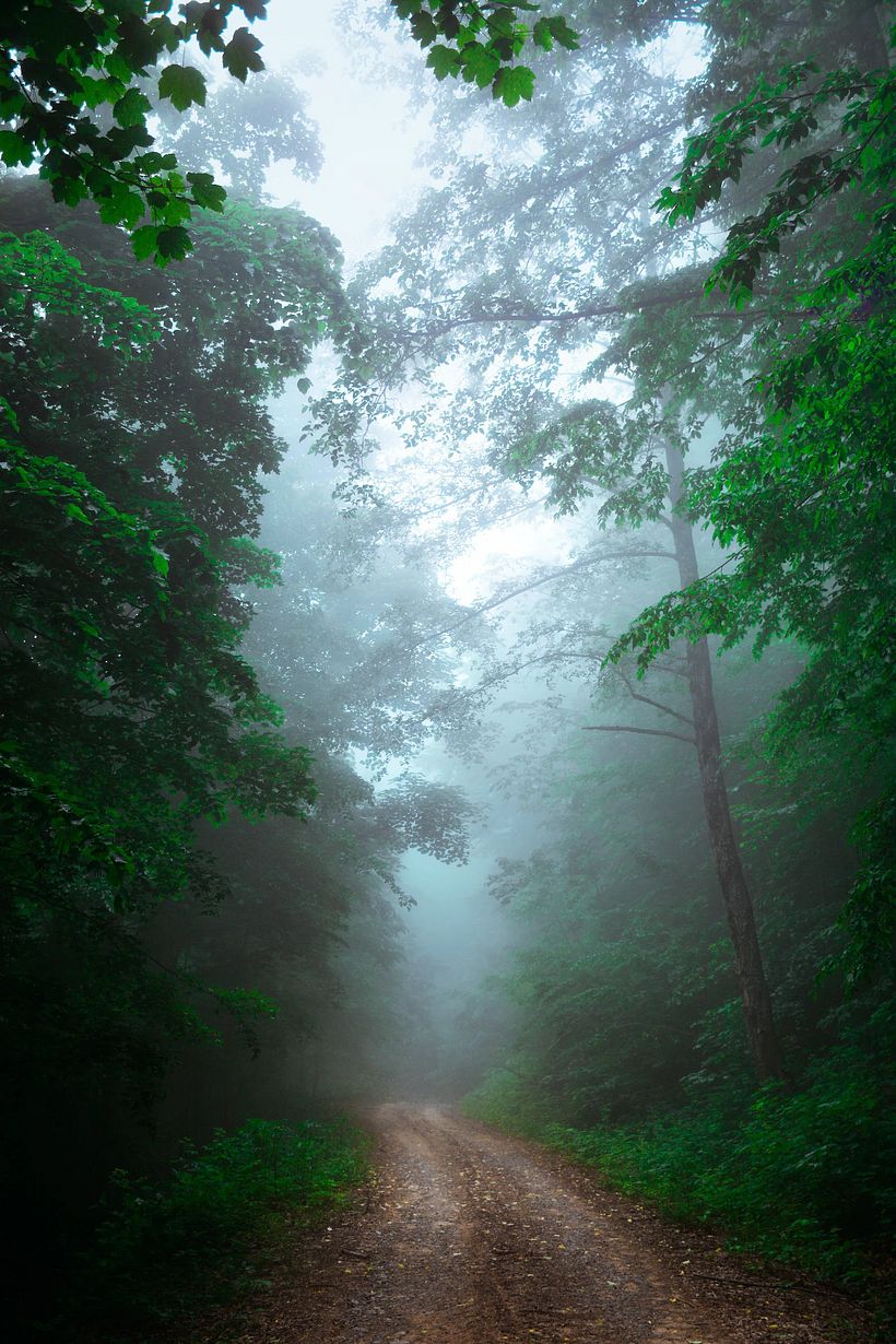Foto referencia. decidí usar esta escena por el reto de representar la niebla y temperatura 
