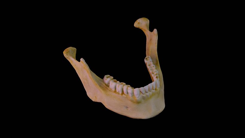 Meu projeto do curso: Introdução à fotogrametria 3D 2