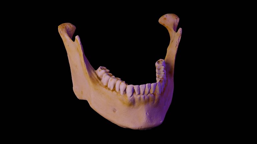 Meu projeto do curso: Introdução à fotogrametria 3D 3