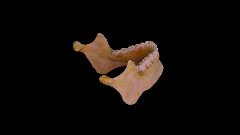 Meu projeto do curso: Introdução à fotogrametria 3D 5