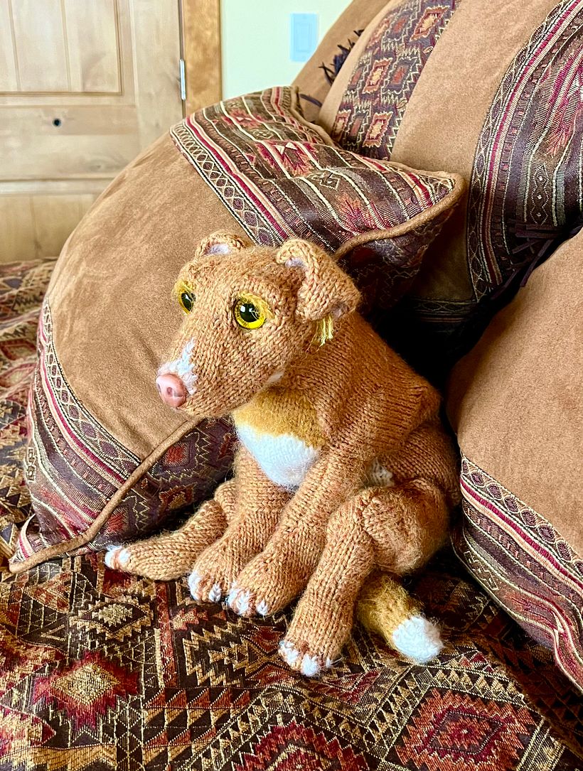 My project for course: Knitting Realistic Stuffed Animals: Make a Puppy from Yarn 1