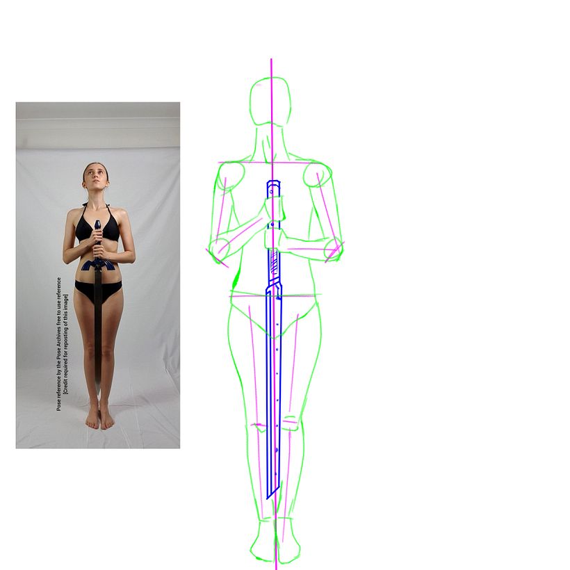 Base Anatomy