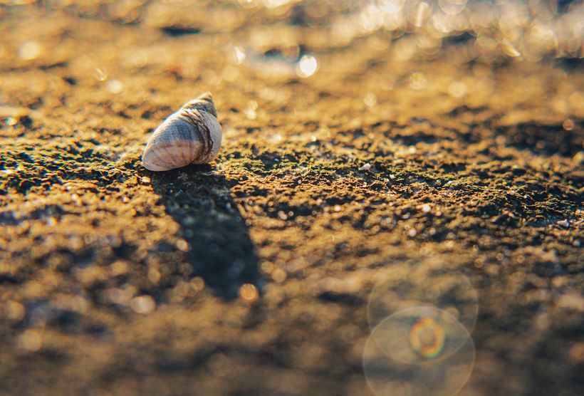 My project for course: Landscape and Nature Photography 6