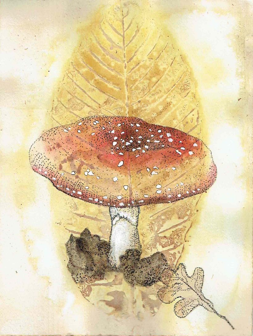 My project for course: Illustrating Nature: A Creative Exploration 1