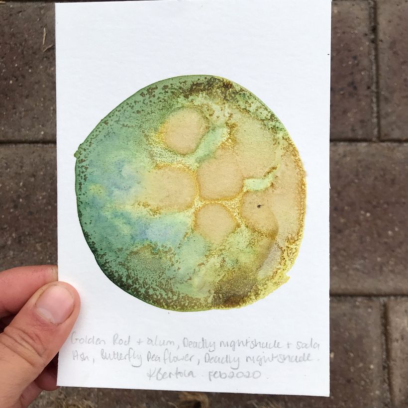 My project for course: Illustrating Nature: A Creative Exploration 5