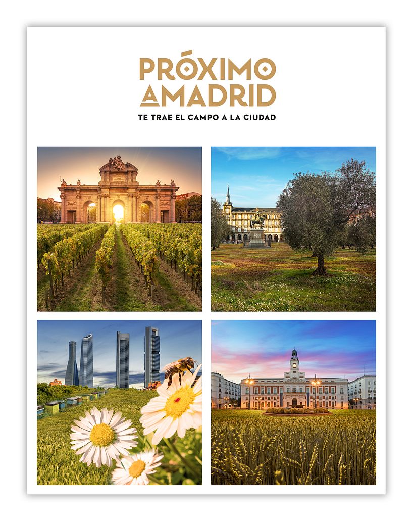 Concepto publicitario 2022/2023