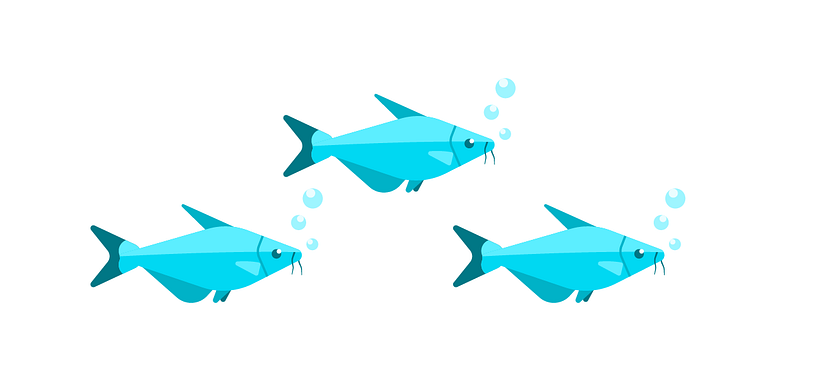 My project for course: Vector Illustration for Beginners 8